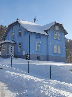 BLUE PENSiON